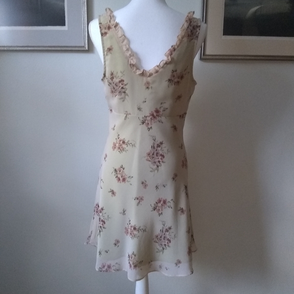 Express Dress - Picture 5 of 5